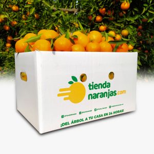 producto-tienda-naranjas-online2