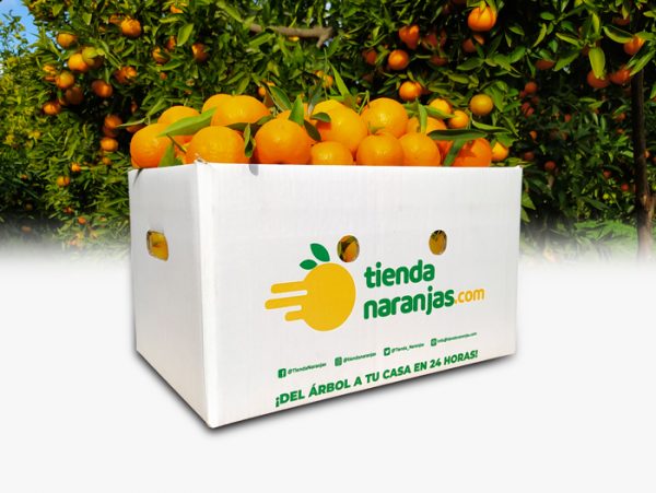 producto-tienda-naranjas-online2