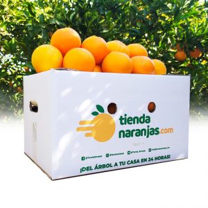 naranjas-online-valencia